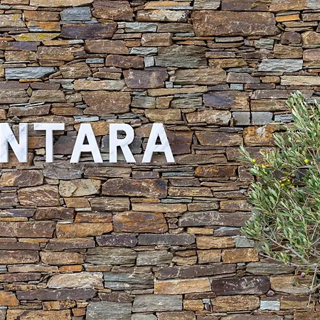 Appartamento Antara *